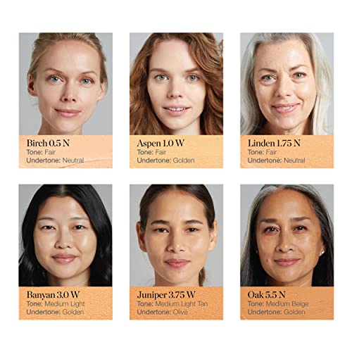 Ogee Aspen 1.0W Foundation Stick, Full Coverage Makeup - Image 6