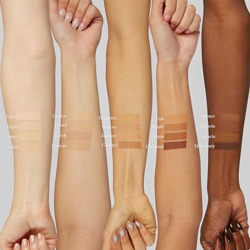Ogee Aspen 1.0W Foundation Stick, Full Coverage Makeup - Image 4