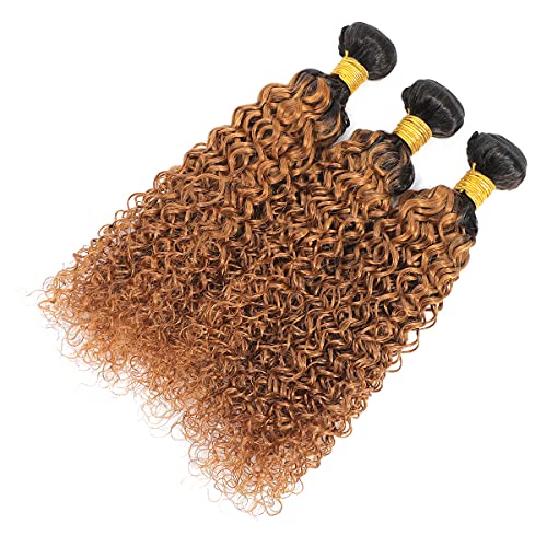 Ombre Two Tone Brazilian Kinky Curly Hair Bundles 1B/30 Virgin Curly Hair Extension 3 Bundles Kinkys Curly Human Hair Black to 30# 300 Gram (10 12 14) - Image 2