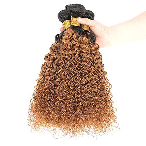 Ombre Two Tone Brazilian Kinky Curly Hair Bundles 1B/30 Virgin Curly Hair Extension 3 Bundles Kinkys Curly Human Hair Black to 30# 300 Gram (10 12 14) - Image 5