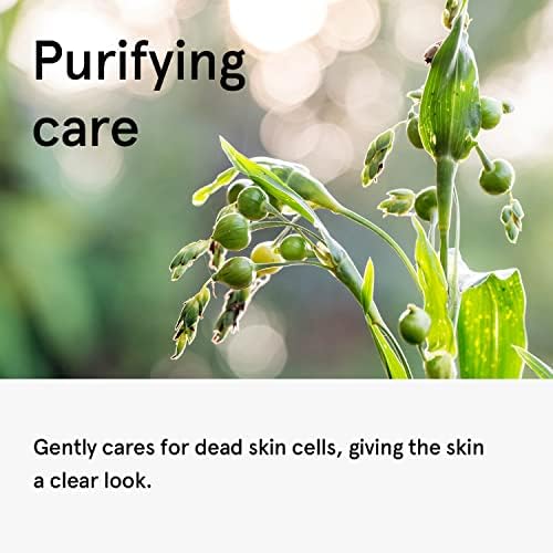 ONE THING Coix Seed (Adlay) Extract 10 fl. oz. | Hydrating Toner for Dewy Glowy Skin | Uneven Tone, Exfoliating Essence | Korean Skin Care - Image 4