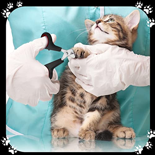 Patelai 5-Piece Cat Bathing and Grooming Kit for Effortless Pet Cleaning - Image 7