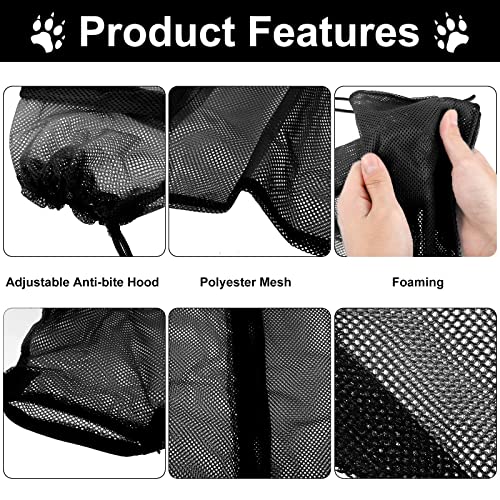 Patelai 5-Piece Cat Bathing and Grooming Kit for Effortless Pet Cleaning - Image 6
