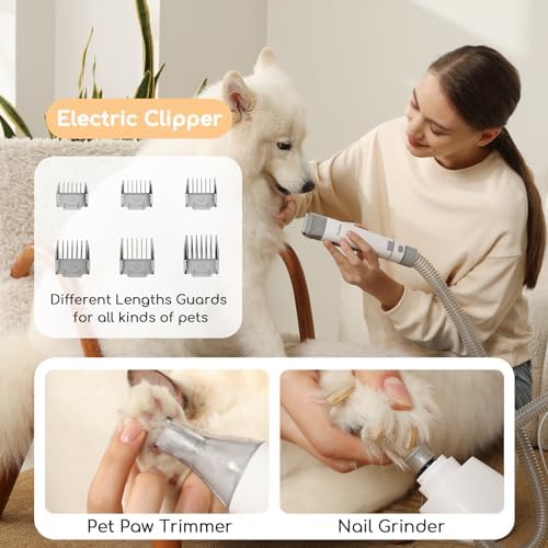 Pet Grooming Kit, 5-Year Replacement, Strong Suction, Durable Stainless Steel, Low Noise, Perfect for Salon at Home - Image 5