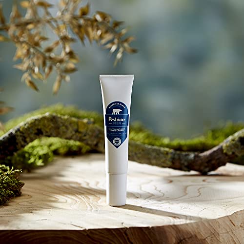 Polåar Men - Icy Looks - Anti-Aging, Anti-Dark Circles Eye Care with Siberian Ginseng - Eye Contour for Men - Fragrance-Free - 97% Natural, Vegan, Cruelty Free, Made in France - 0.5 Fl Oz - Image 3