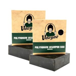 Polygonum Multiflorum Solid Shampoo Bar For Thinning Hair Darking, Organic He Shou Wu Gray Hair Loss Reverse Products, Plant Conditioner Soap For Men & Women 2pcs