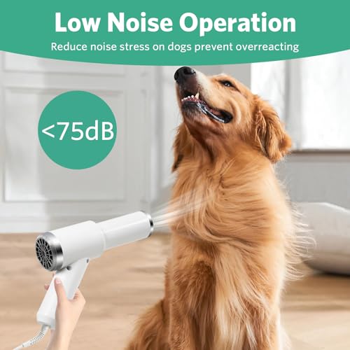 Quiet Portable 2-in-1 Pet Hair Dryer Blower with Slicker Brush for Small Medium Dogs Cats - Image 6