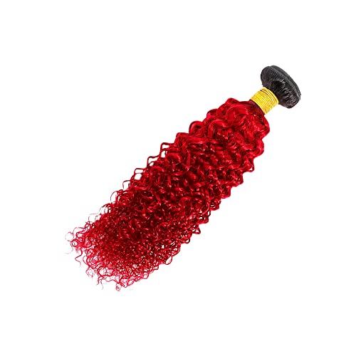 Red Kinky Curly Ombre Human Hair Bundles 8 Inch Single Bundle Two Tone Black to Red - Image 6