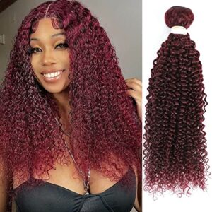 REMY HAIR Burgundy Bundles Human Hair Red Curly Bundles Burgundy Kinky Curly Human Hair Bundles 22 Inch Unprocessed Brazilian Virgin Remy Hair Red Wine Extension