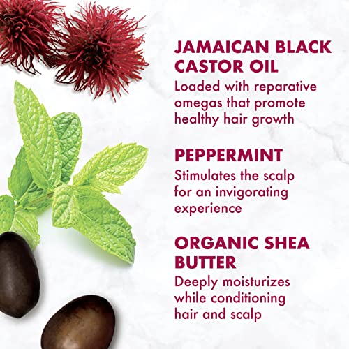 SheaMoisture Coconut & Castor Oil Curl Enhancing Leave-In Conditioner 11.5oz - Image 7