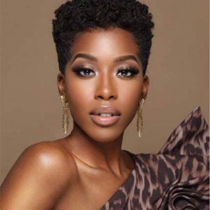Short Afro Curly Synthesis Hair Wigs for Black Women Kinky Curly Short Wigs Afro Wig for African American Wigs Natural Color
