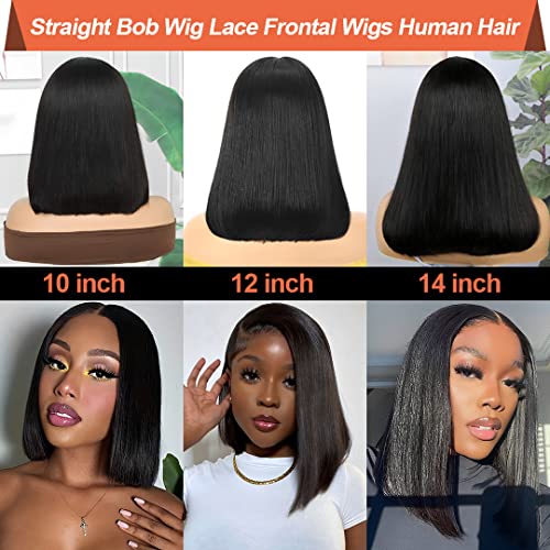 Short Bob Wig Human Hair 13x4 HD Bob Lace Front Wigs Human Hair 180% Density Glueless Wigs Human Hair Straight Human Hair Wigs Pre Plucked with Baby Hair 12inch - Image 2