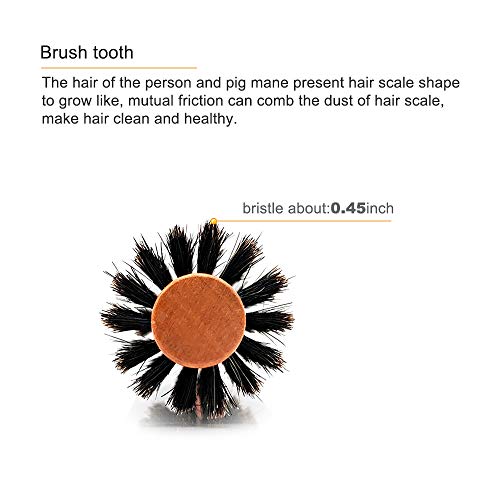Sunbird Large Round Brush with Wild Boar Bristles for All Hair Types and Styles - Image 4
