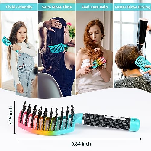 Wet Hair Brush Detangling Brush for Curly Hair, Hair Brushs for Women&kids, Detangler Brush for Wet or Dry Hair, Detangling Brush Painless and Less Demage 2 Pack (Colorful)… - Image 3