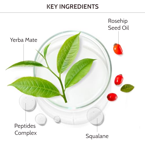 Yerba Mate Radiance Eye Cream Anti Aging - Eye Cream for Dark Circles and Puffiness - Brightening Under Eye Cream - Peptide Eye Repair Cream - Image 4