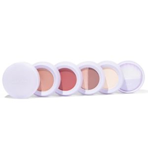 Subtl Beauty 4-in-1 Travel Makeup Kit with Eyeshadow Duo Shine Control Powder and Brush Set, Compact Size
