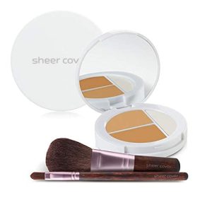 Flawless Face Tan Shade Mineral Foundation and Concealer Brush Kit 4 Pieces