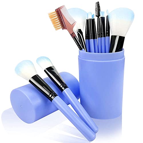 12 Piece Pink Makeup Brush Set with Blue Storage Box for Girls