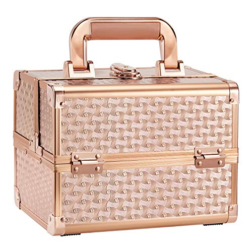 Joligrace Rose Gold Makeup Train Case 2-Tier Organizer with Lockable Keys and Mirror