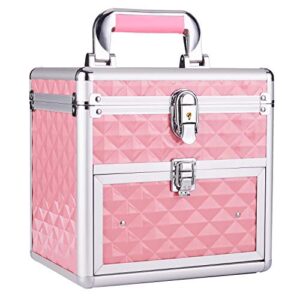 Frenessa Professional Makeup Train Case with Mirror and Adjustable Dividers, Large Capacity