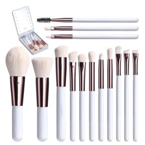 14 Piece Travel Makeup Brush Set, Portable Mini Makeup Brushes, Full Complete Function Cosmetic Brushes Kit with Makeup Brush Case and Led Mirror (White)