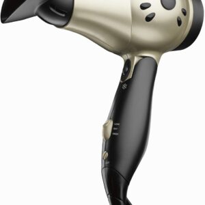 REVLON Compact Folding Handle Hair Dryer |1875W Blow Dryer with Ionic Technology for Salon Styled Finish with Less Frizz and More Shine | Great for Travel (Gold/Black)