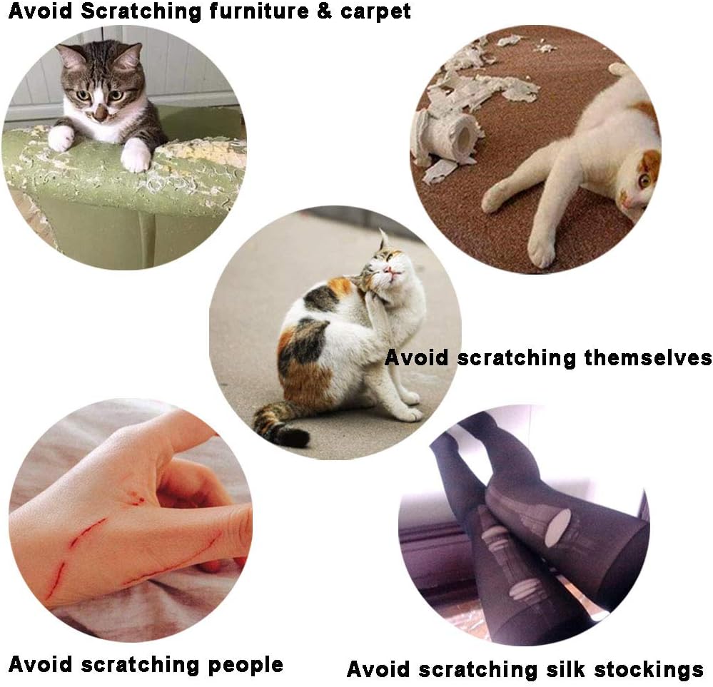 100pcs Cat Nail Caps/Tips Pet Cat Kitten Paws Covers Control Paws of 10 Nails Caps and 5Pcs Adhesive Glue 5 Applicator with Instruction - Image 4