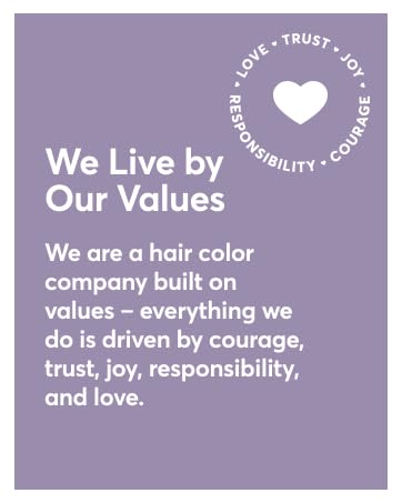 We Live By Our Values: Love Joy Courage Responsibility and Trust