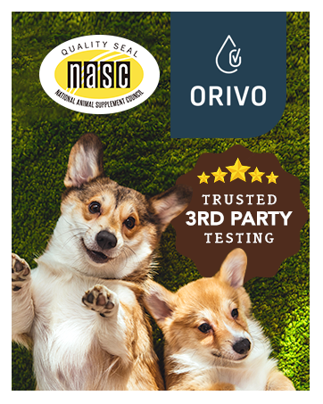 natural dog company