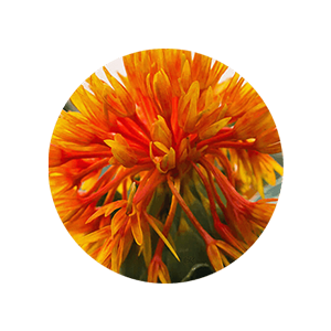 safflower olesomes