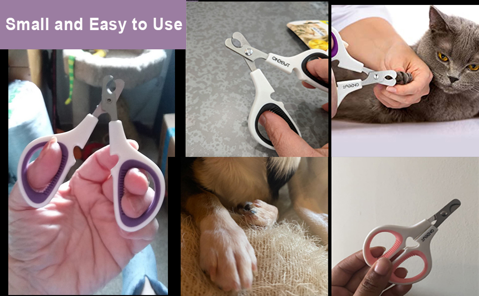 easy to use