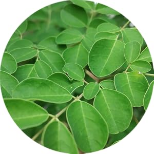 plant protection