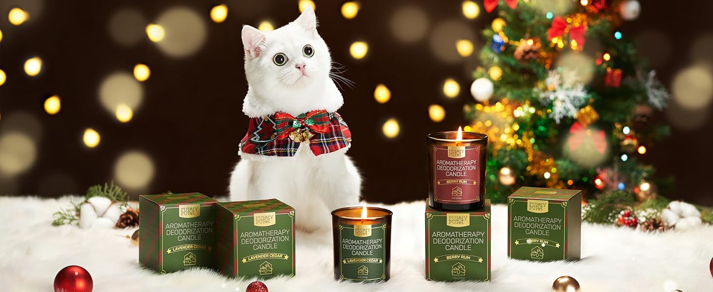 Holiday Decor