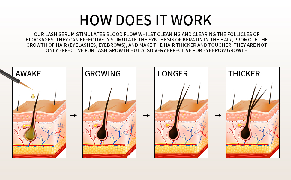 eyelashes serum brow serum to grow brows eyelash serum to grow lashes lash enhancing serum