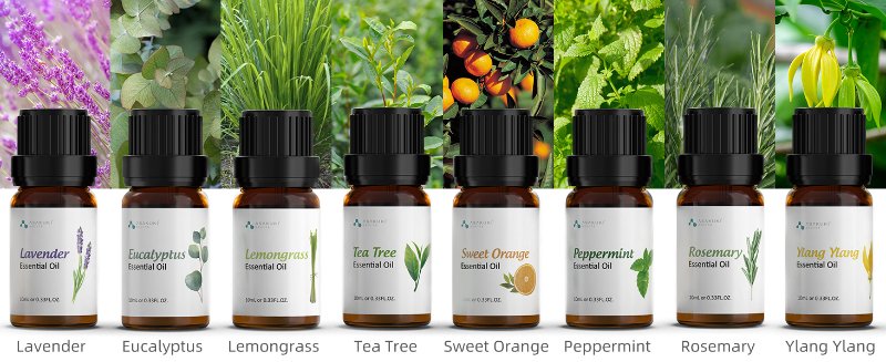 ASAKUKI Essential Oils Set