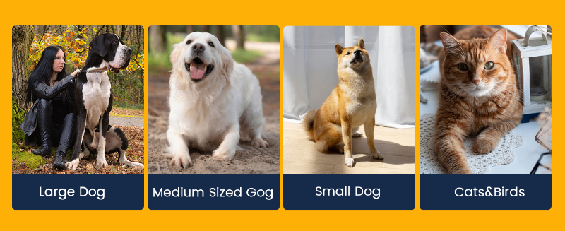 BEZOX Pet Nail Clippers Image