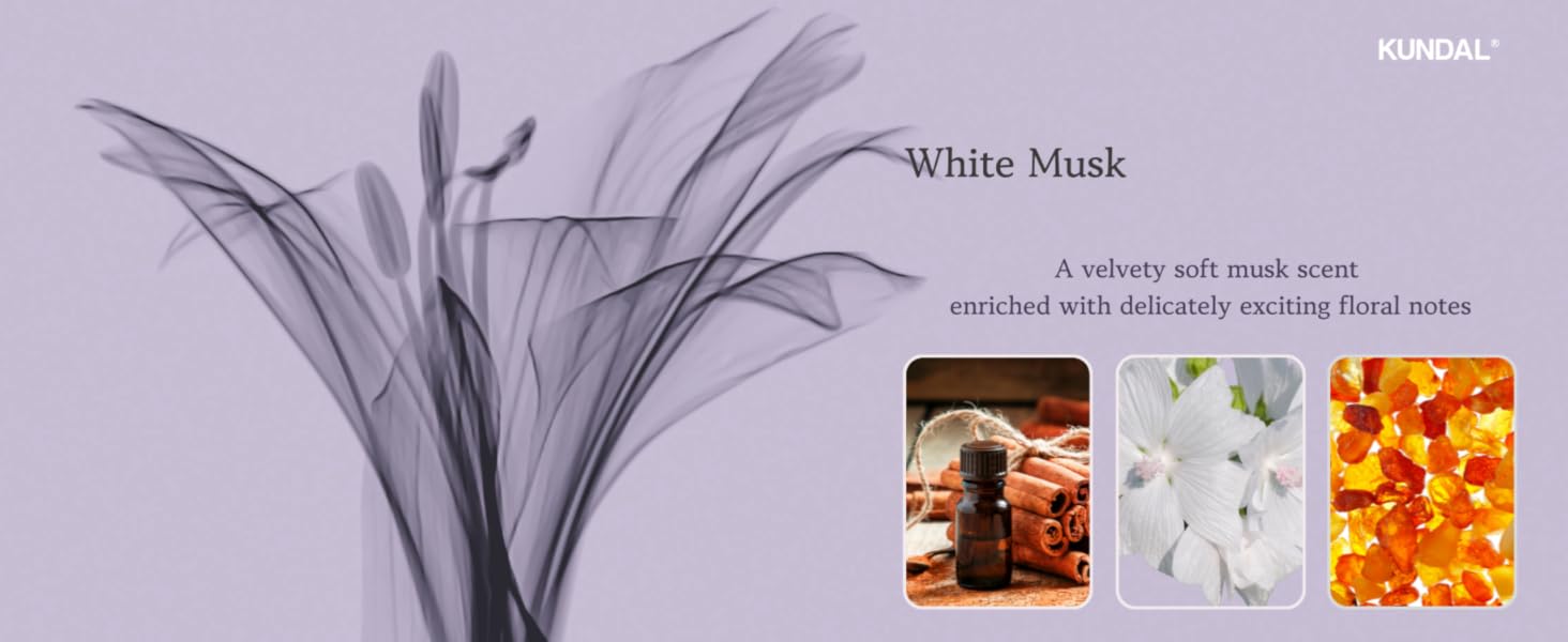White Musk, SHampoo and Conditioner, Kundal, Fragrance