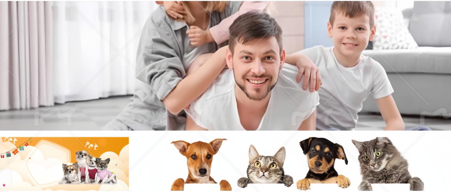 Brand Introduction