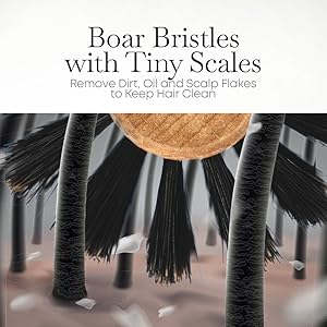 soft boar bristles that naturally take care of your hair