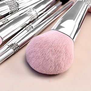 Professional Makeup Brush Set