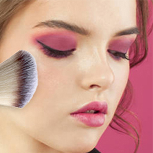 Professional Makeup Brush Set