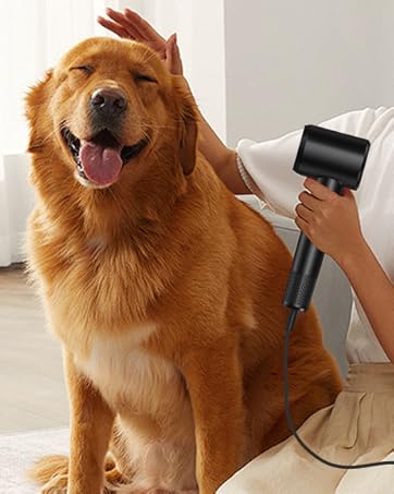 Hair Dryer