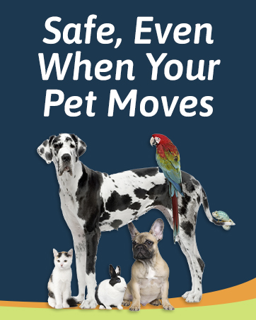 pet products