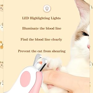 LED