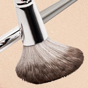Amrules Amakeup brush kit -300X300-01