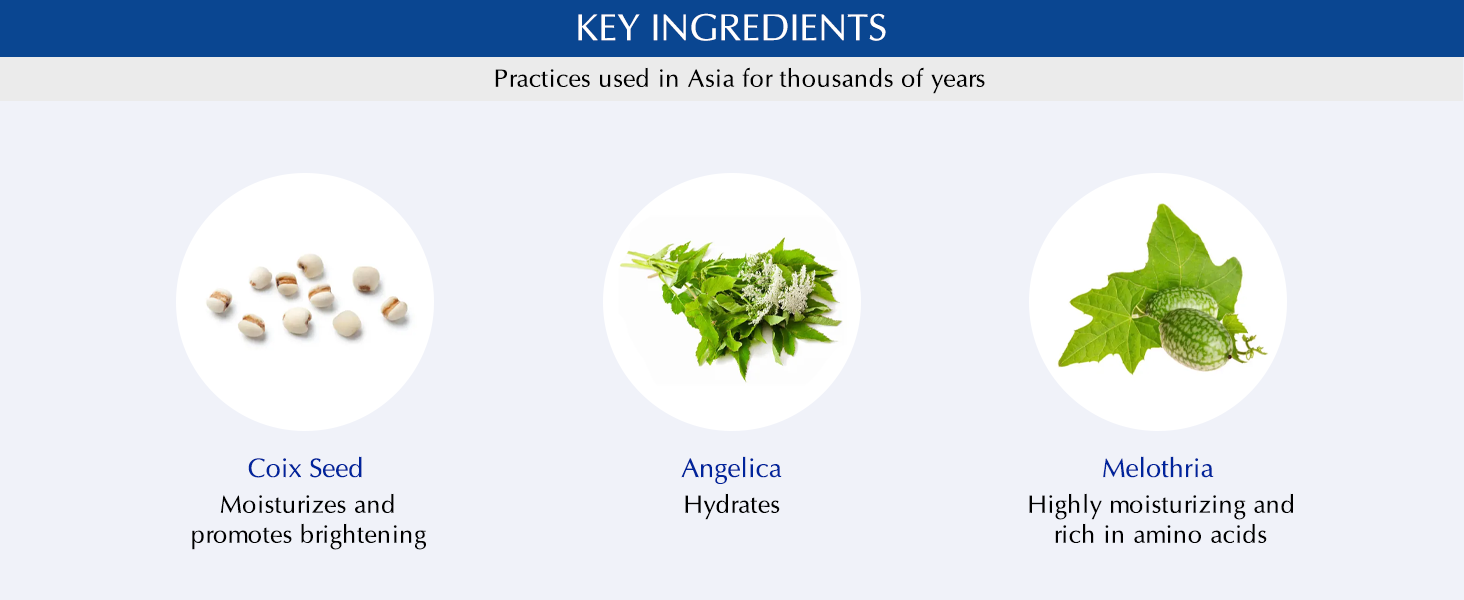 Key Ingredients