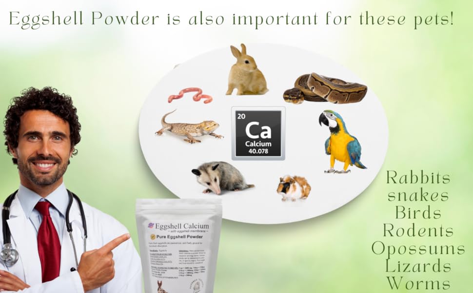eggshell calcium supplement for rabbits snakes birds rodents opposum lizards