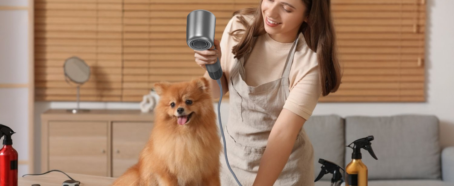 Hair Dryer with Diffuser