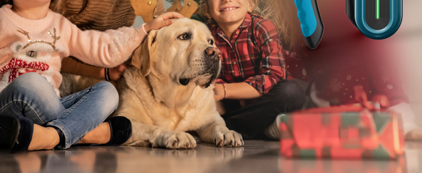 dog nail trimmers with light