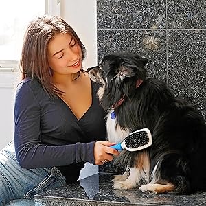 Woman brushing dog